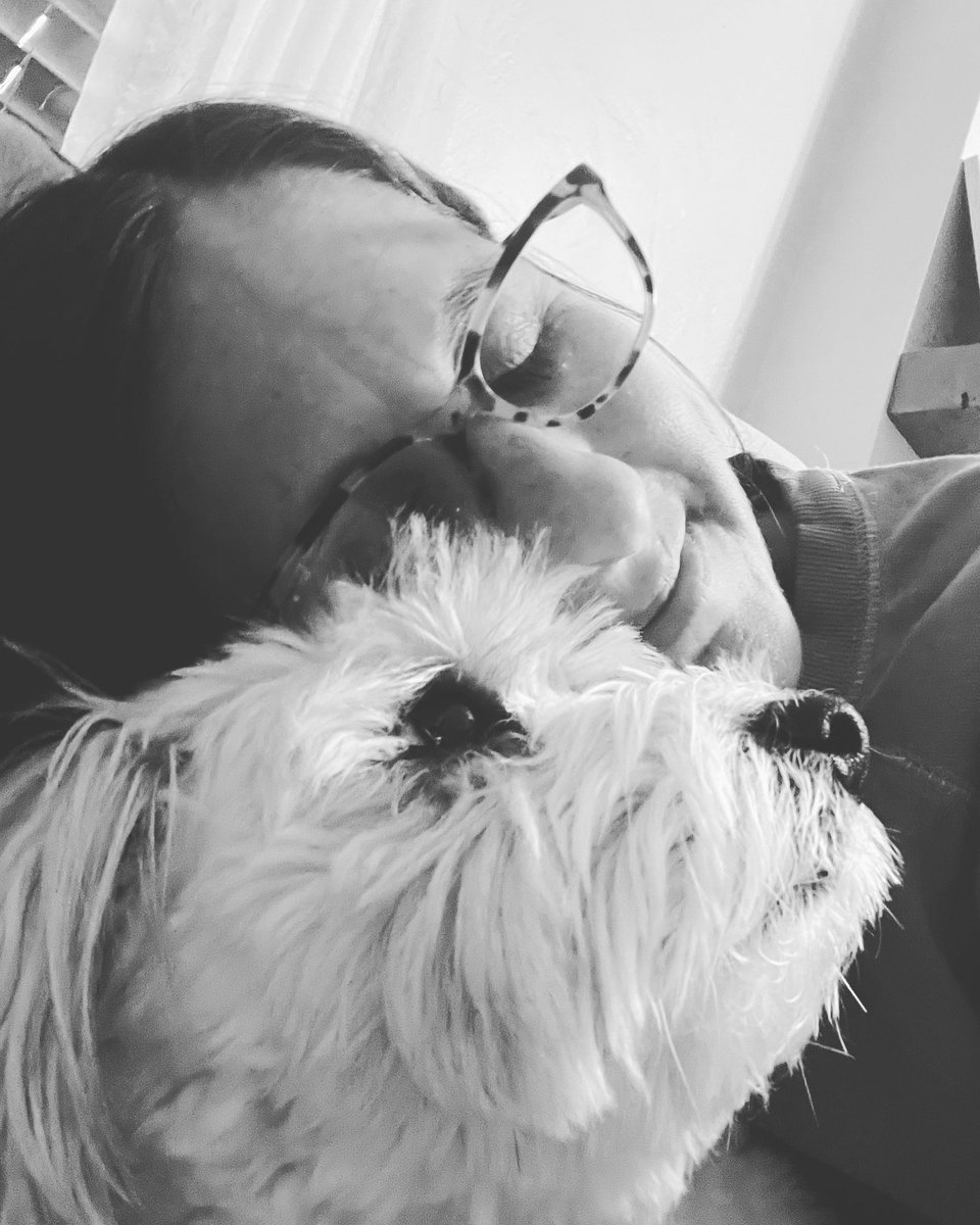danicounselor's tweet image. I was actually blinking when I took this photo of us but I like how it looks all fancy artistic, as if we’re caught in some serene moment of napping together. The truth is he wiggled away two seconds later to sprawl out by himself on the floor. #DogMom #TherapyDog #TooFunny