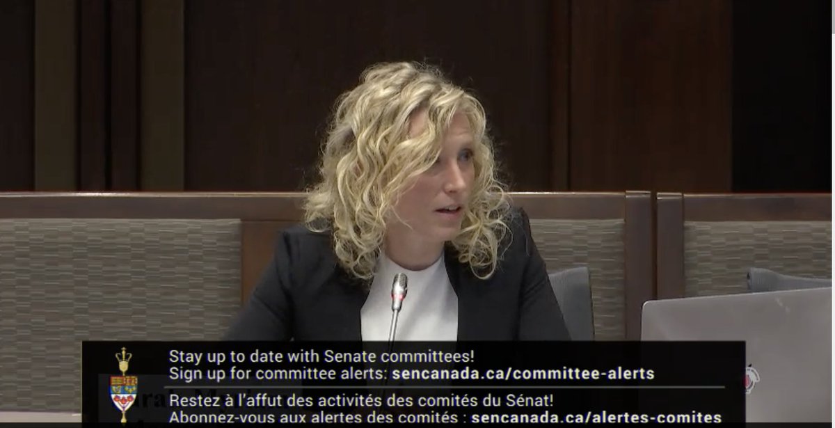Honoured to have testified at the @SenateCA to the Standing Committee on Foreign Affairs and International Trade on Canada’s interests and engagement in #Africa .