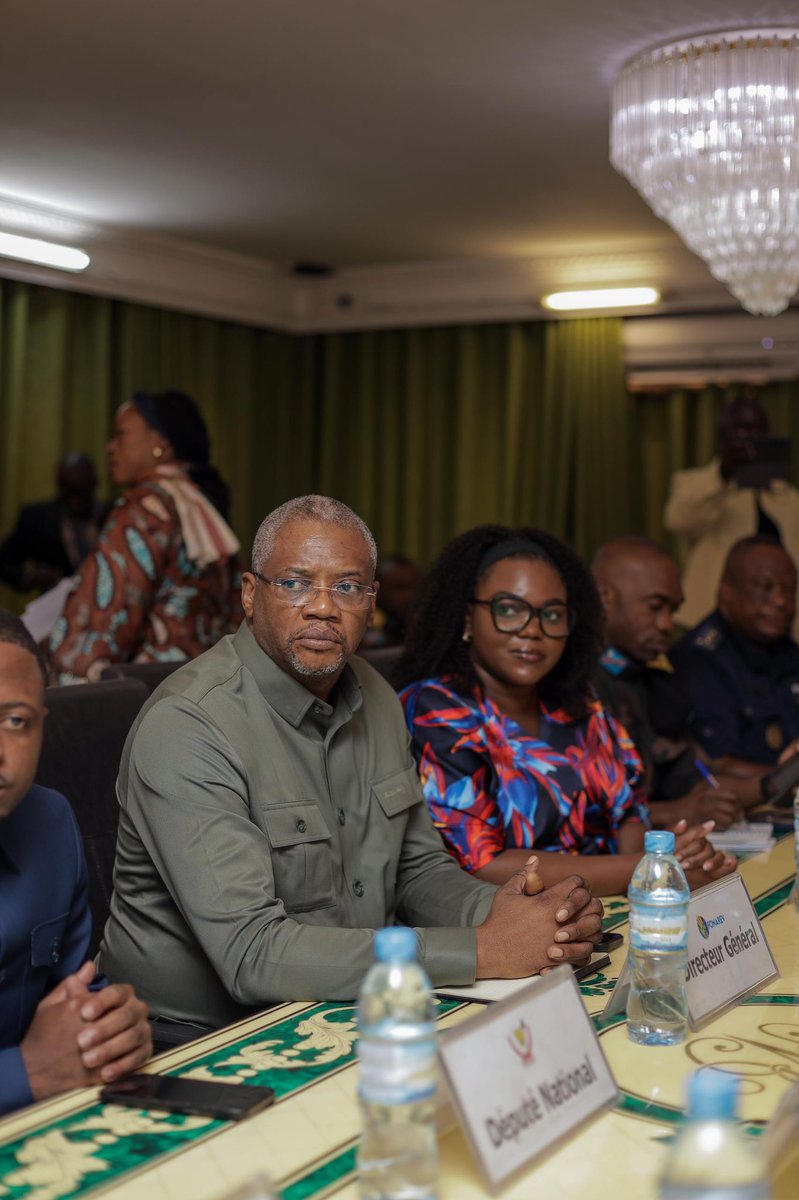 Fonarev RDC tweet media