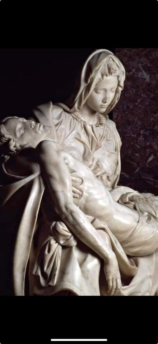 Michelangelo Buonarroti Ünlü Pieta'yı Yarattığında Sadece 23 Yaşındaydı. Bir Fransız Kardinal istedi  ve Michelangelo'nun Tamamlanması Sadece İki Yıldan Kısa Bir Süre Aldı (1498-1499).
Tek Bir Carrara Mermer Blokundan Yapılmıştır ve Sanatçının İmzaladığı Tek Heykeldir.