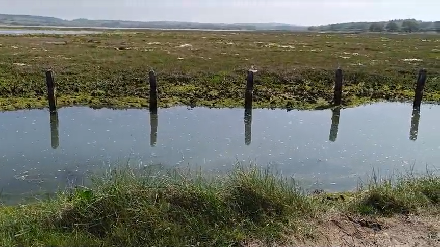 I'm furious. Sewage today in our beloved Newtown Creek, Isle of Wight.

A National Nature Reserve!

We have to get this government out.
We have to get our country, and our countryside, back.

#StopTheTories
#StopTheRot
#StopTheShit