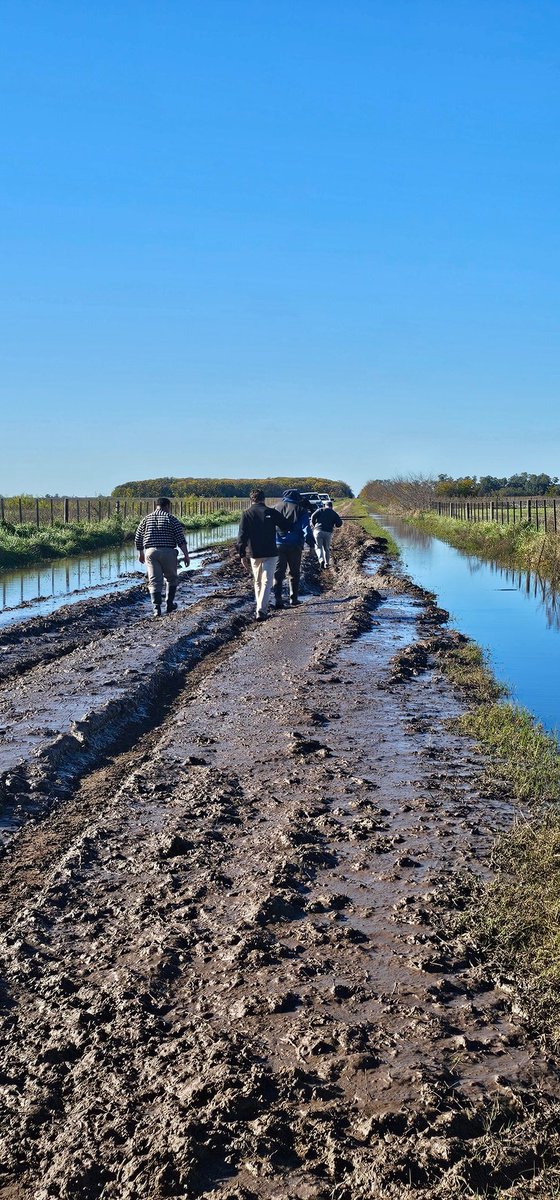 AnPasserini's tweet photo. Caminos rurales del sur de Carlos Casares.
Y pretenden que paguemos las tasas.
#RuralidadAbandonada
#FederalismoRoto https://t.co/XDn5JzHG0w