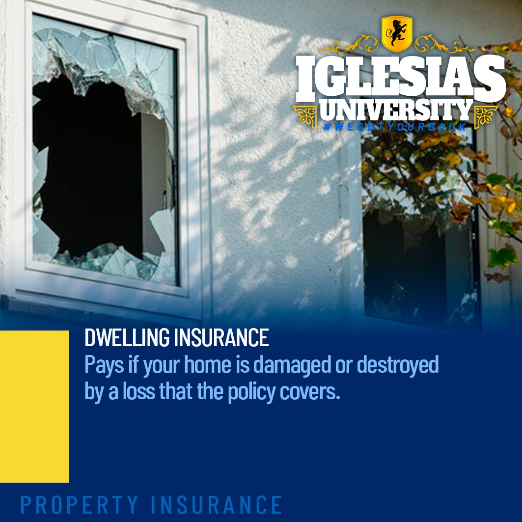 Dwelling Insurance
We have one of the best insurance proposals for you. Set an appointment with us for more information.
☎️ (956) 833-5008 
#alicetx #brownsvilletx #laredotx #mission #edinburgtx #riogrande #mcallentx #IglesiasInsurance #homeinsurance #Texas #segurodehogar #home