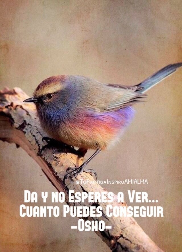 🐦'Da y no esperes a ver...'🌿🐤 #FraseDelDía