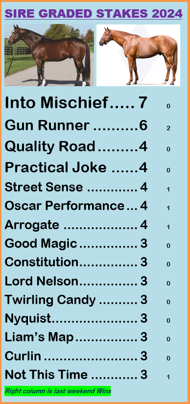 Sire Graded Stakes '24 Gun Runner up to six, one behind Into Mischief Gun Runner Vahva (Derby City Distaff) Gun Pilot (Churchill Downs)