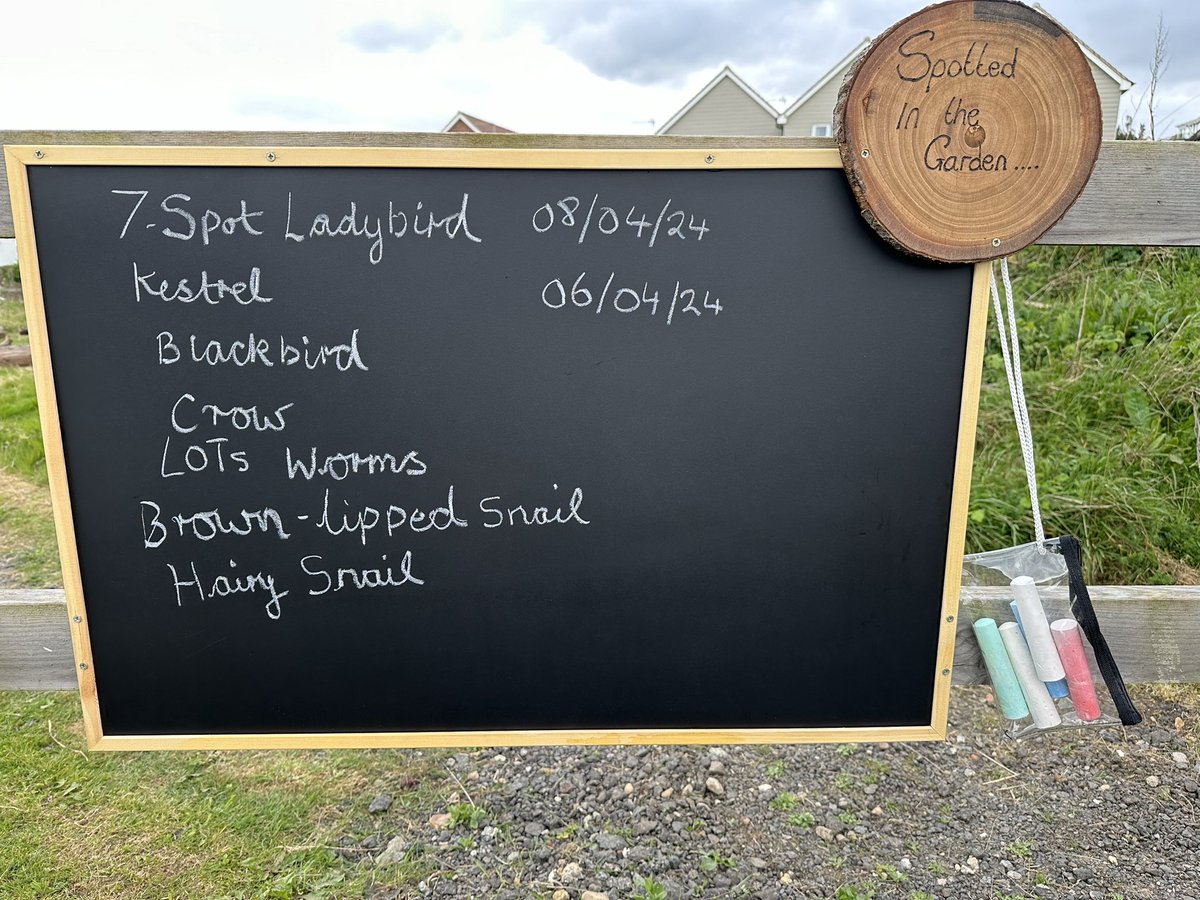 We added a chalkboard & chunky chalks to our #communitygarden to encourage people to share & report sightings. First week the chalks were taken & lots of ‘rude’ pics drawn on pavement. 😬 We decided to persevere but only left a little chalk.  1/2