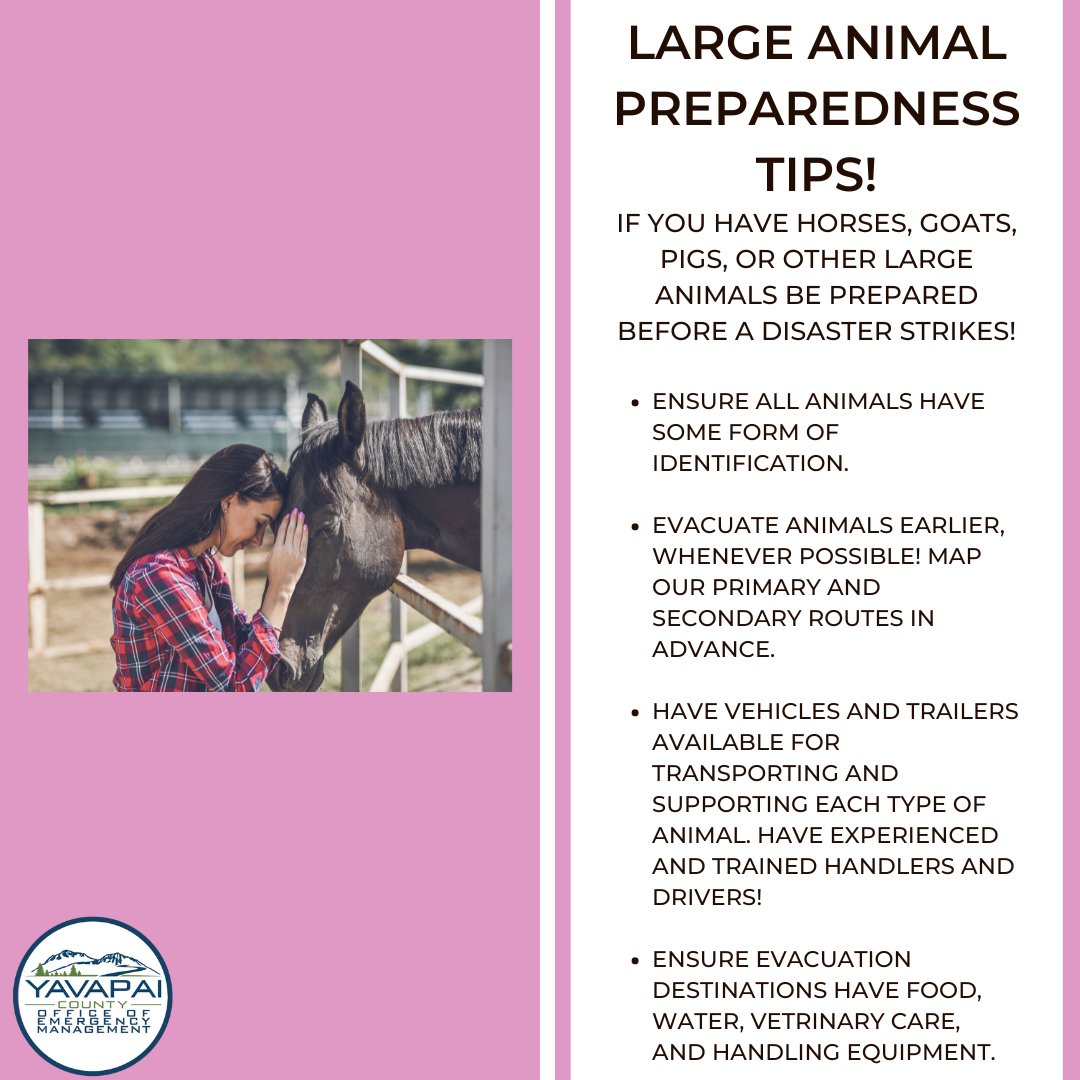 We love all our pets regardless of shape or sizes! Don't forget to plan for your larger pets! 

#Pets #EmergencyManagement #PetPreparedness #YavapaiCounty #Animals #Sheltering #PreparedNotScared #AnimalPreparedness #CommunityResilience #CommunityPreparedness