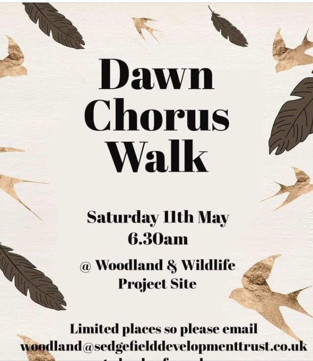 Sat 11 May 6.30am @WoodlandWildli1 come & join us for an early morning bird walk. I’ll be carrying out survey work & we’ll inspect some of the boxes. We’ll finish with tea & coffee & pastries! Please email below for attendance @teesbirds1 @DurhamBirdClub