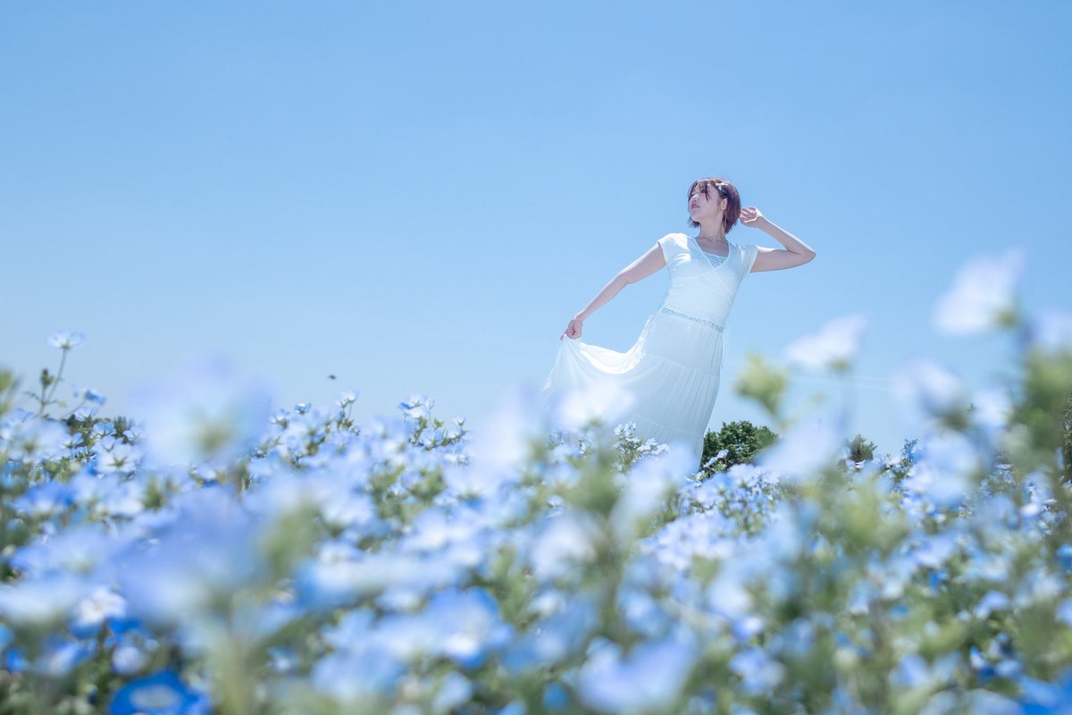 ネモフィラ❀

model：Reini

#portrait