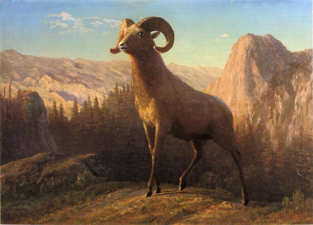 'He coughed again, that deferential cough of his which sounds like a well-bred sheep clearing its throat on a distant mountain-top.' ~ P.G. Wodehouse A Rocky Mountain Sheep (1879) 🎨 Albert Bierstadt