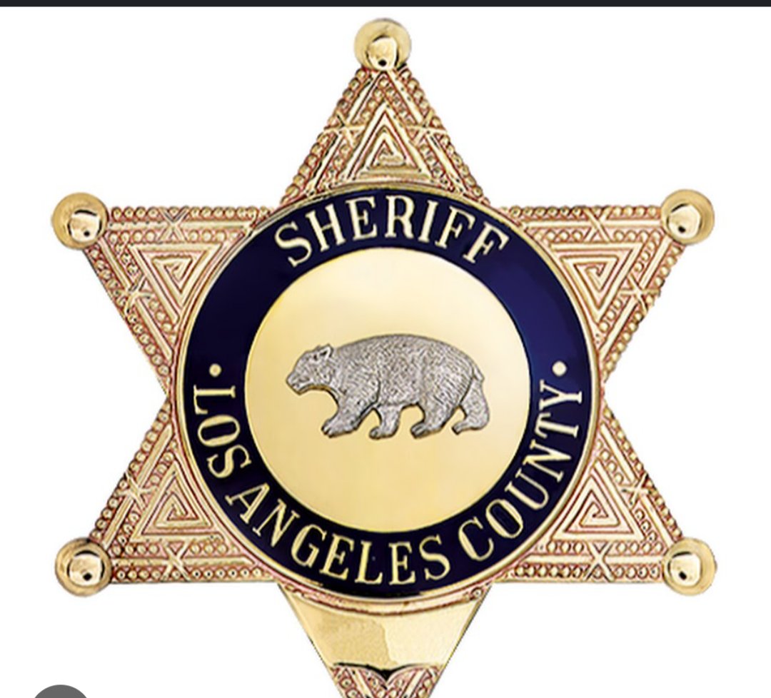 @WallStreetApes The Sheriff badge says it all...