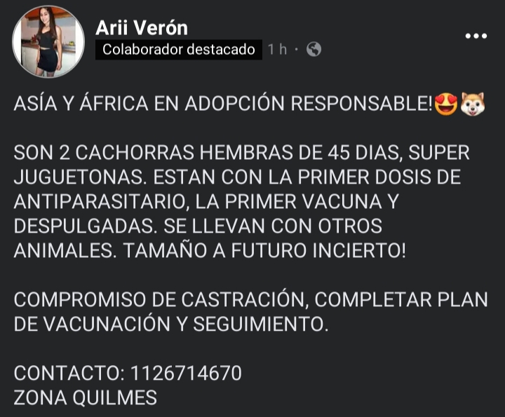 A AYUDAR A ASIA Y ÁFRICA, BELLÍSIMAS BEBAS, para que PRONTO ENCUENTREN UNA FAMILIA QUE LES BRINDE CALOR DE HOGAR Y AMOR DE VERDAD!!!💞🏡💓💖 Desde ya, muchas gracias!!!🐶🤗❤️ #Quilmes #Adopción #AdoptaNoCompres #AdoptarSalvaVidas