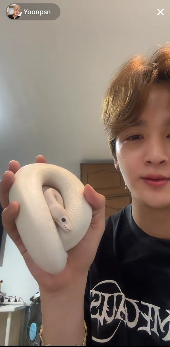 O Yoon fazendo live com uma cobra 🐍 na mão, lindo mas eu morro de medo 😱 
#yoonpsn #YoonTon @yoonpsn