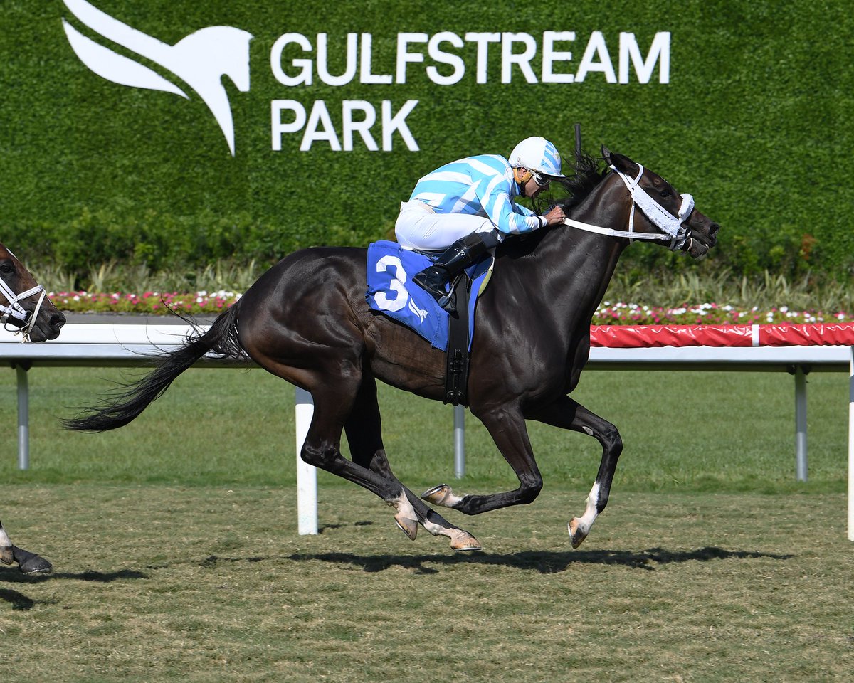 Cosmic Speculation goes gate to wire in the 8th for trainer Joseph Orseno, a Hat Trick today for @LeojockeyReyes! #GulfstreamPark #RoyalPalmMeet