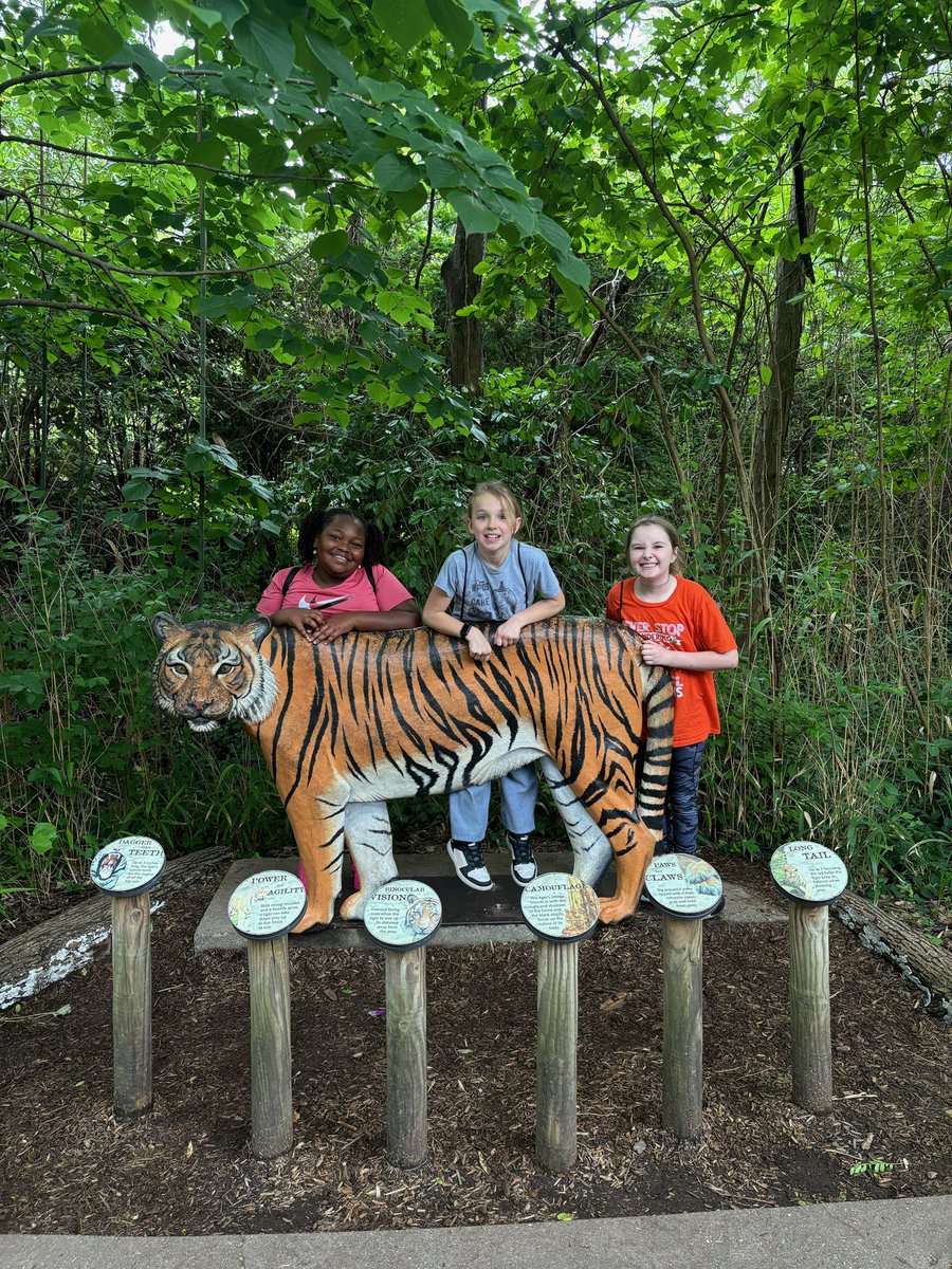 amydocherty44's tweet image. 10,000 steps and over 100
pics later… our zoo trip was a success! Awesome chaperones and Pack Pride behavior by the students! I had a student visiting the zoo for the first time tell me that he couldn’t pick his favorite part because it was all the bestest!! ❤️ @wolvestweet