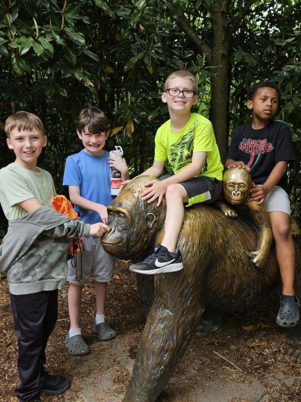 amydocherty44's tweet image. 10,000 steps and over 100
pics later… our zoo trip was a success! Awesome chaperones and Pack Pride behavior by the students! I had a student visiting the zoo for the first time tell me that he couldn’t pick his favorite part because it was all the bestest!! ❤️ @wolvestweet