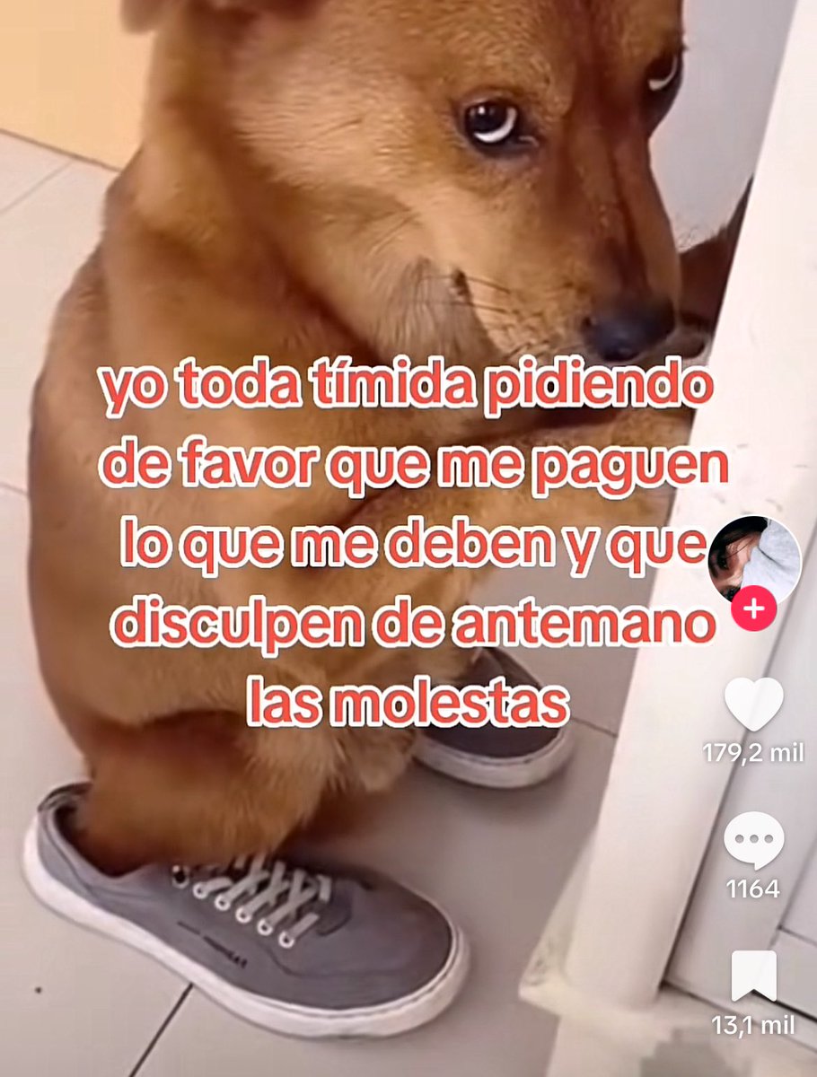 nosoysin's tweet image. Literalmente yop