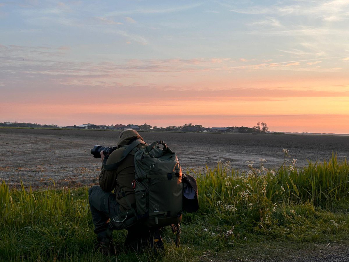 Even een paar dagen eruit, lekker vogelen op Texel😃 eindelijk een keer gelukt😃 het was een mooie dag op de fiets, mooie waarnemingen, zoals de morinelplevieren en bij de kuifkoekoek gekeken #Texel #birding #nikonnl #dezeekust #genieten