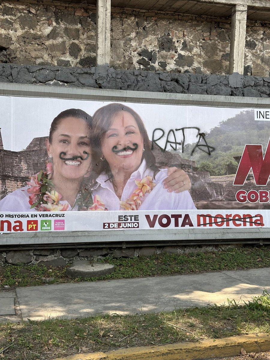 Mis paisanos ya decidieron fuera  ratas de #Veracruz 

#VotarSalvaAMéxico 
#FueraMorena 

#PepeYunesGobernador 
#FuerzaYCorazónPorMéxico