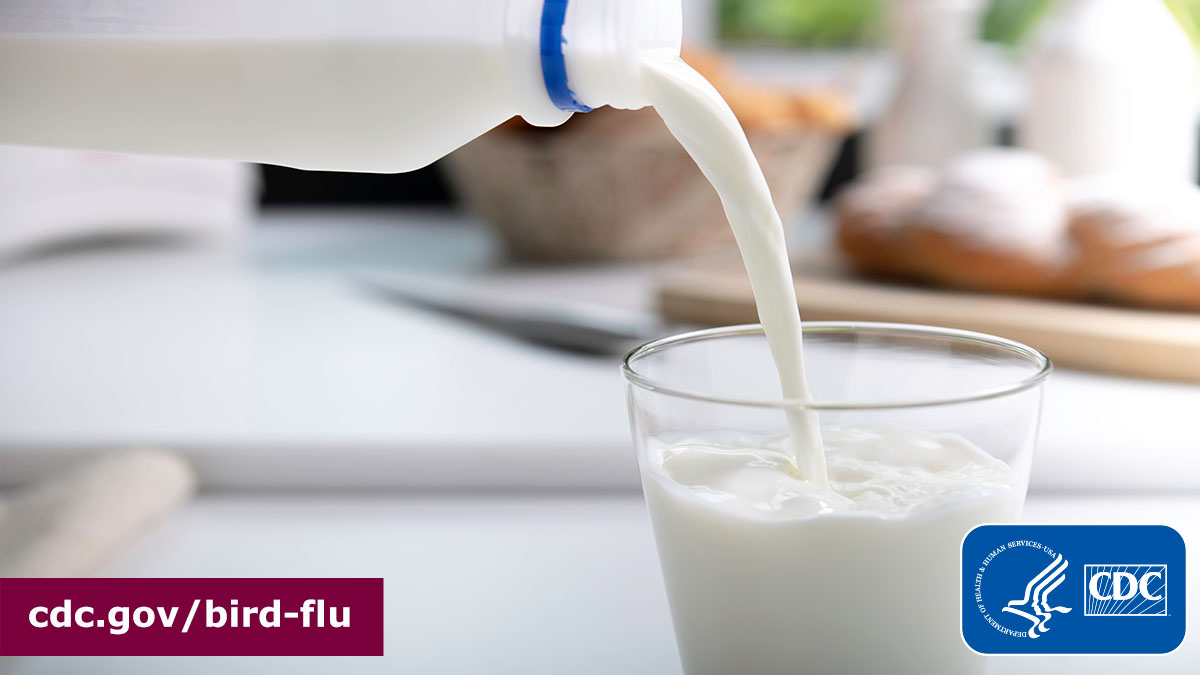 During this current multi-state outbreak of H5N1 #birdflu in dairy cows, testing shows that pasteurization kills #H5N1 virus in milk. Pasteurized milk does not pose a risk of H5N1 to consumers. Find out more about milk safety: bit.ly/3xYQ0ki