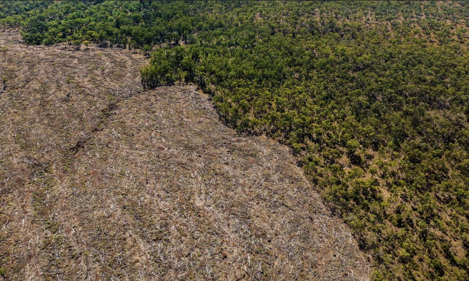 Australia asks EU to delay compliance on deforestation law: “'I have requested that the EU Commissioner delay its implementation until all requirements are fully understood…' What is not yet understood @MurrayWatt? The EUDR has been publicly consulted on since 2020. I myself