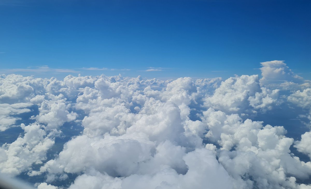 Cotton whims ☁️🌧🤍💙 On my way to Panamá City #cytopath #lungpath