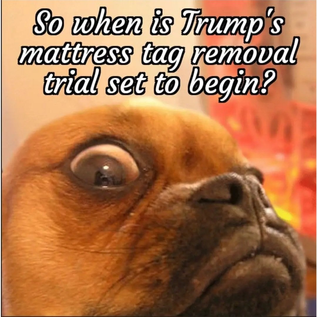 Sandra_G_Loftis's tweet image. Quick question,  Merchan: