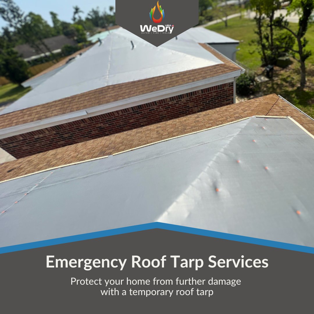 Properly and promptly installed #RoofTarp is essential for preventing further damage. They effectively stop water from penetrating your home, which helps you avoid costly #WaterDamage. We've expertly placed thousands—your home is safe until you're ready for repairs. #RoofTarping