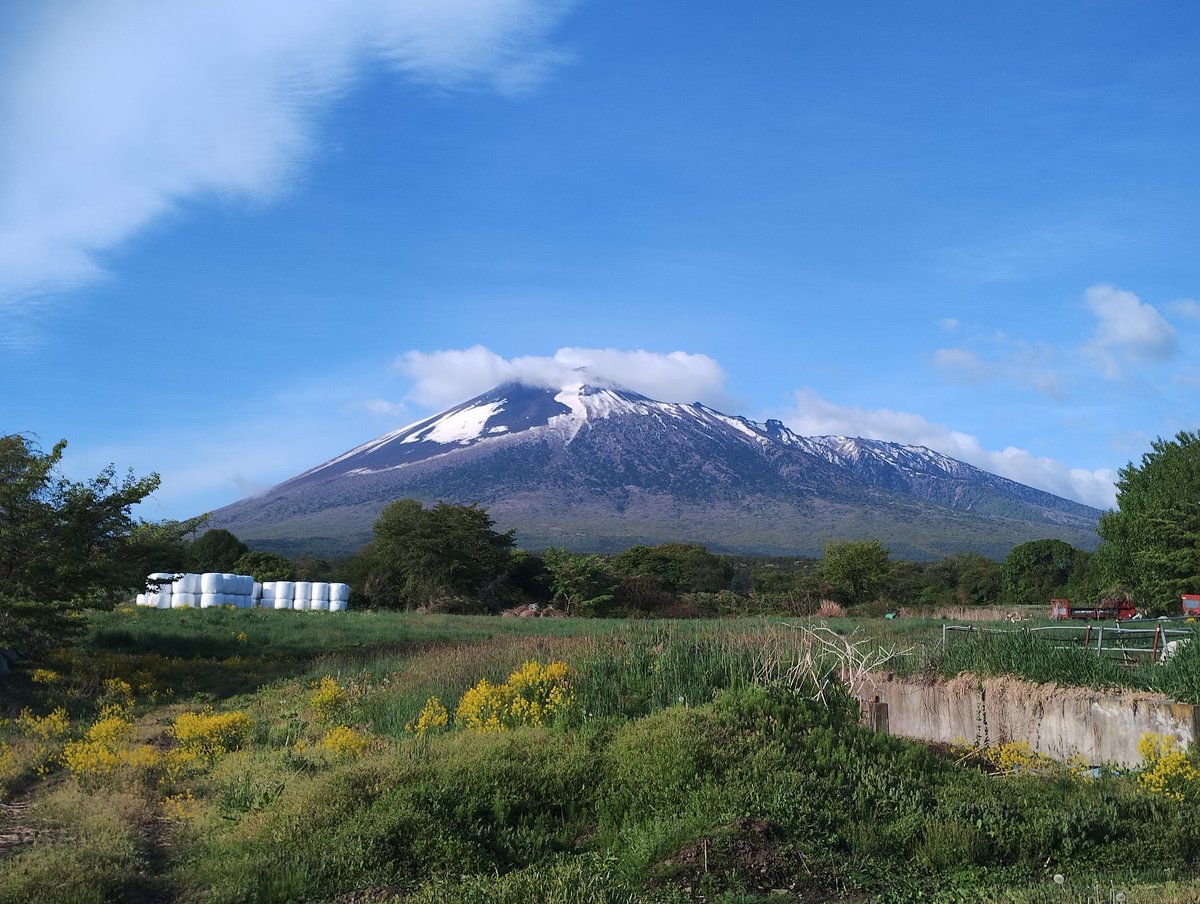 今朝の岩手山