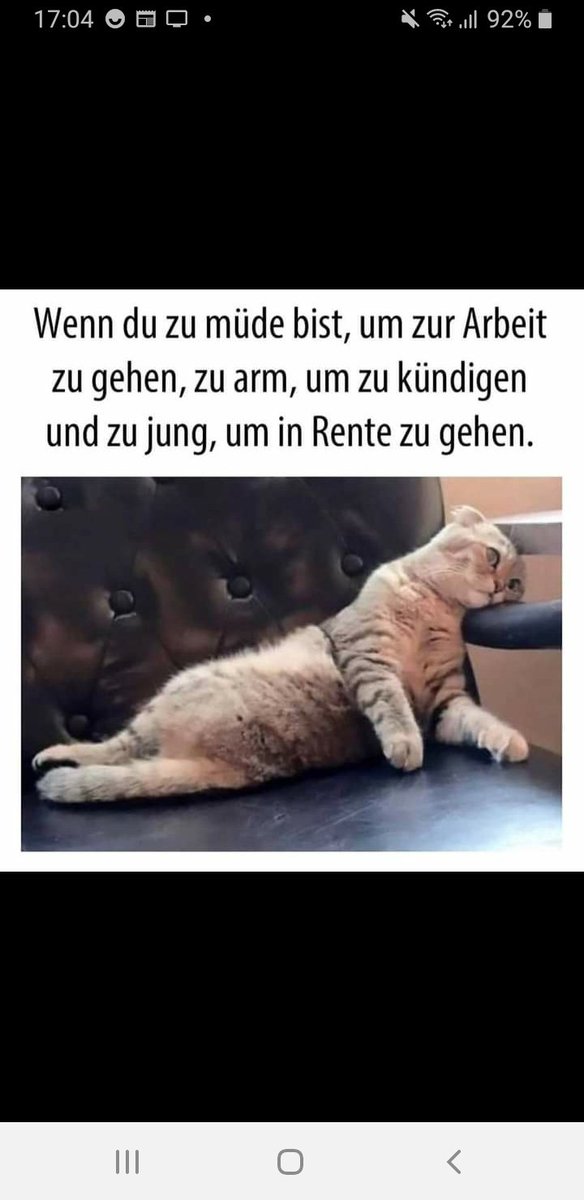 lg vom Nachtdienst und gute Nacht euch allen.
Ich wache.😊😗🐈🦇🦇
