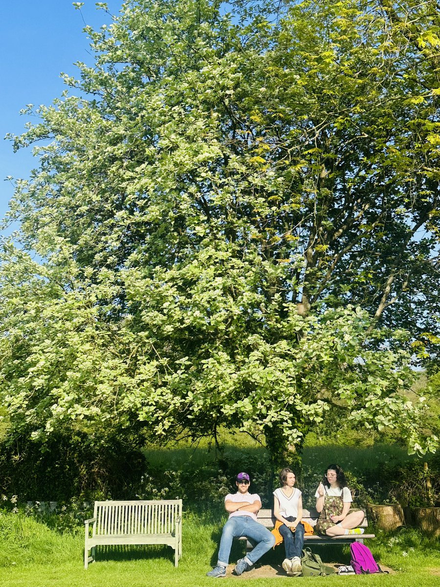 AnnieChave's tweet photo. An evening game @TiptonStJohnCC - we came a distant second but it was lovely weather and fine company! https://t.co/sKb2MWFgND