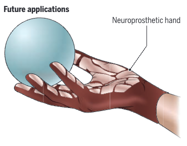 Grateful for the opportunity that @ScienceMagazine gave me to write a short perspective paper on the use of advanced #neuromorphic #tactile #sensors for #robotics and #neuroprosthetics: science.org/doi/epdf/10.11… (Opportunities but also challenges lie ahead!)