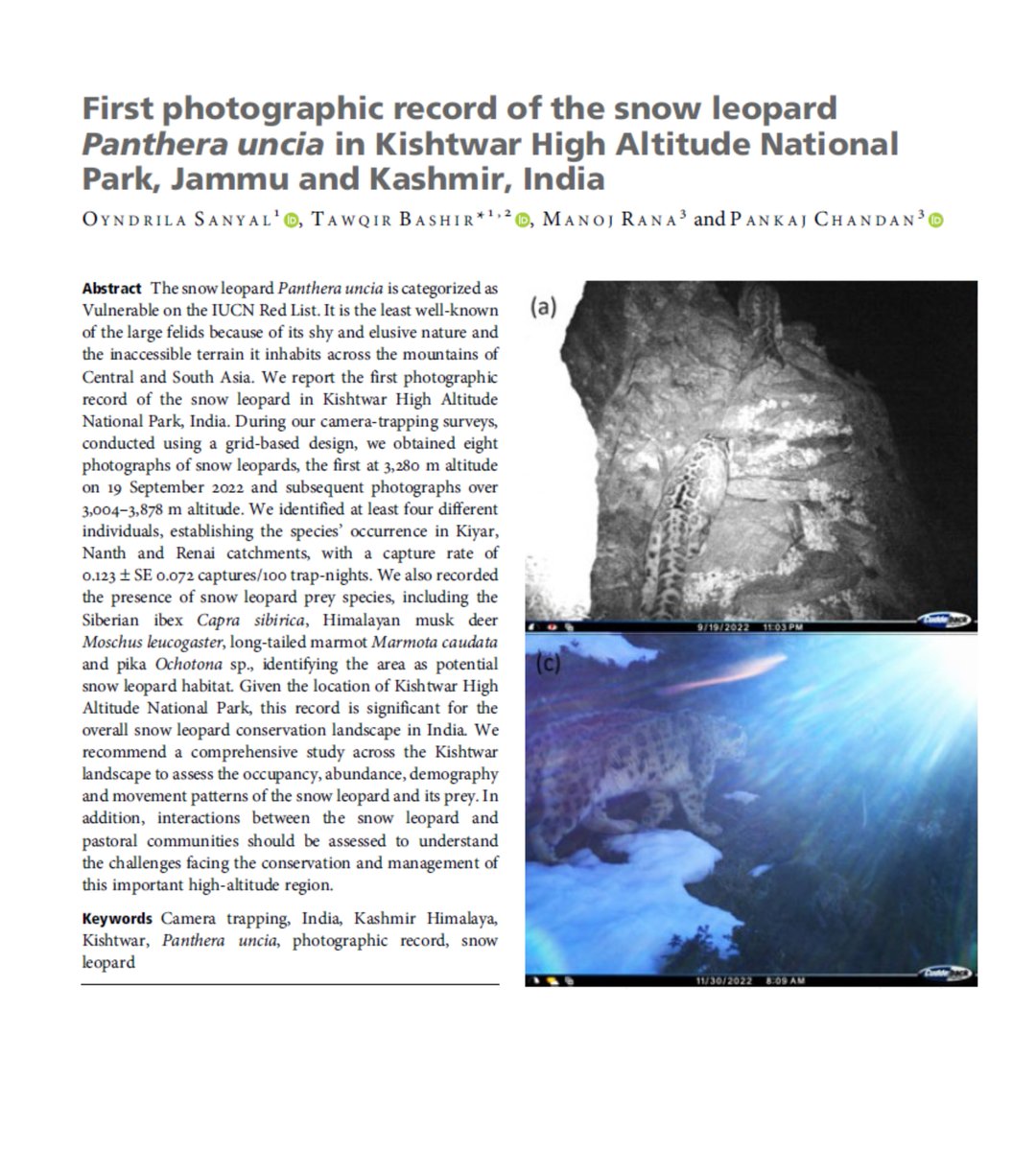 📌New #SLResearch paper alert! 1st📷records of #snowleopards in India's Kishtwar High Altitude National Park. At least four🐆 individuals were identified in camera trap images, indicating potential snow leopard habitat! 📎doi.org/mvnp #snowleopardconservation