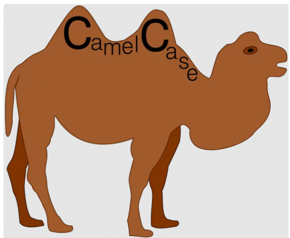 CamelCase?
Snake_case
smallcase?