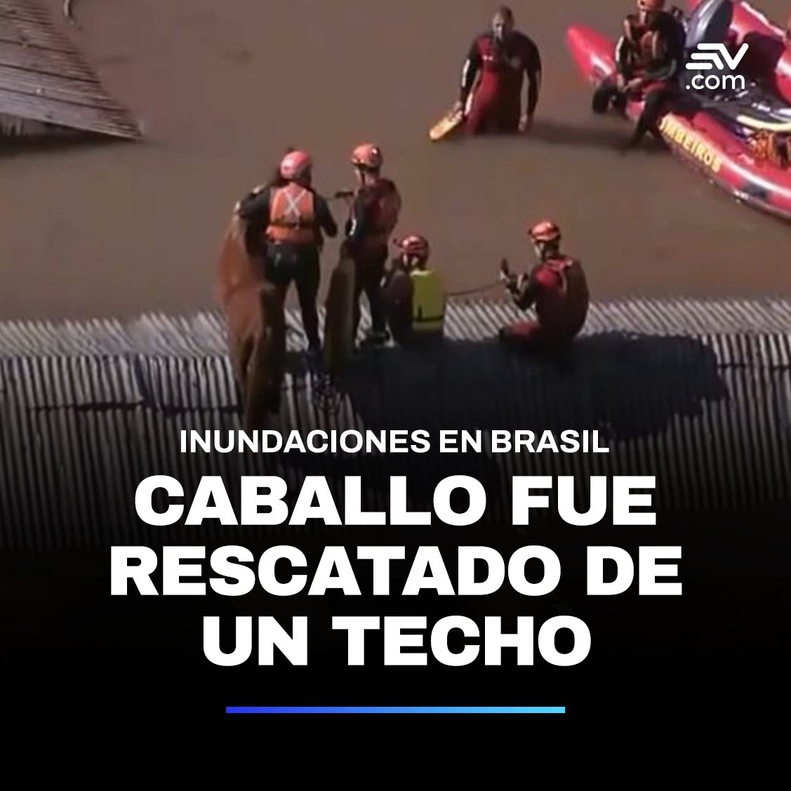 Este 9 de mayo, rescatistas se movilizaron para salvar al caballo, llamado Caramelo, 🐴 en un techo rodeado por agua debido a las inundaciones en #Brasil ➡ bit.ly/3JU8tkF