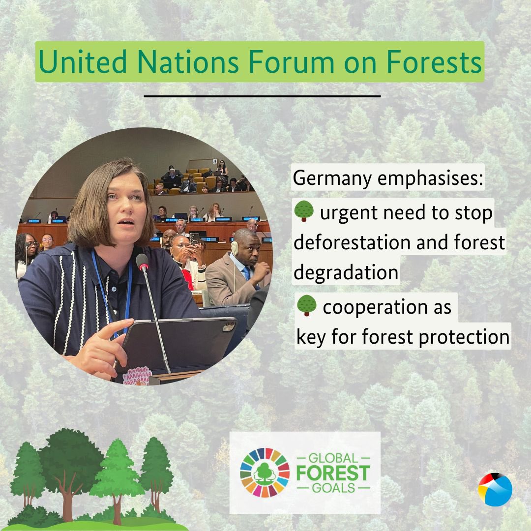 #UNForests is the place where all stakeholders come together & where the entire range of ecosystems, functions & services of the forests are taken into account. #UNFF19 🇩🇪 State Secretary @bmel, Claudia Müller, delivered the national statement during today’s high level segment.