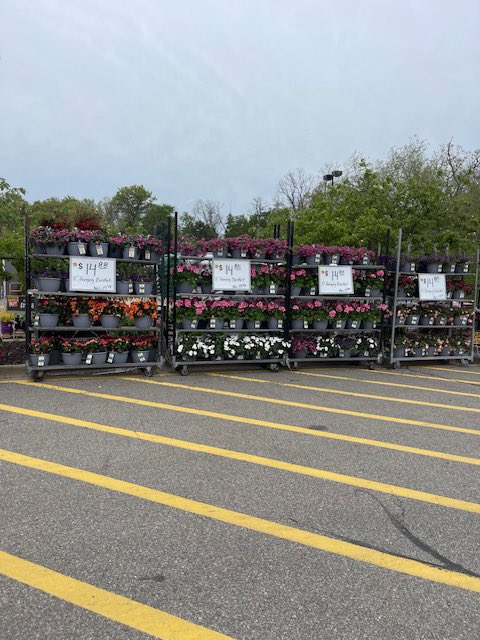 AD Ready <a href="/HomeDepot/">The Home Depot</a> #annuals #mothersday2024