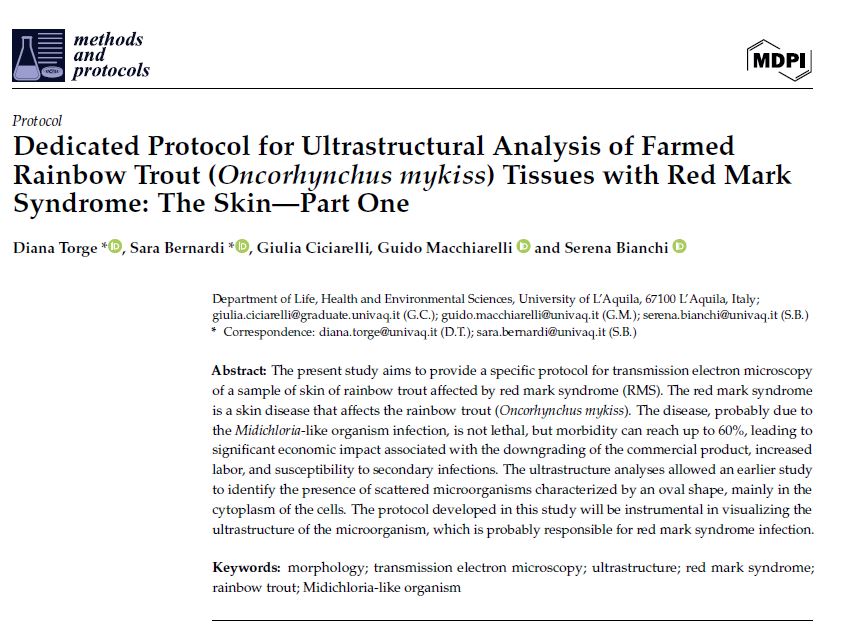 #newpaper 🌻Diana Torge et al. | Dedicated #Protocol for Ultrastructural Analysis of Farmed Rainbow Trout (Oncorhynchus mykiss) #Tissues with Red Mark Syndrome: The Skin—Part One 👉mdpi.com/2409-9279/7/3/… #transmissionelectronmicroscopy #morphology #ultrastructure