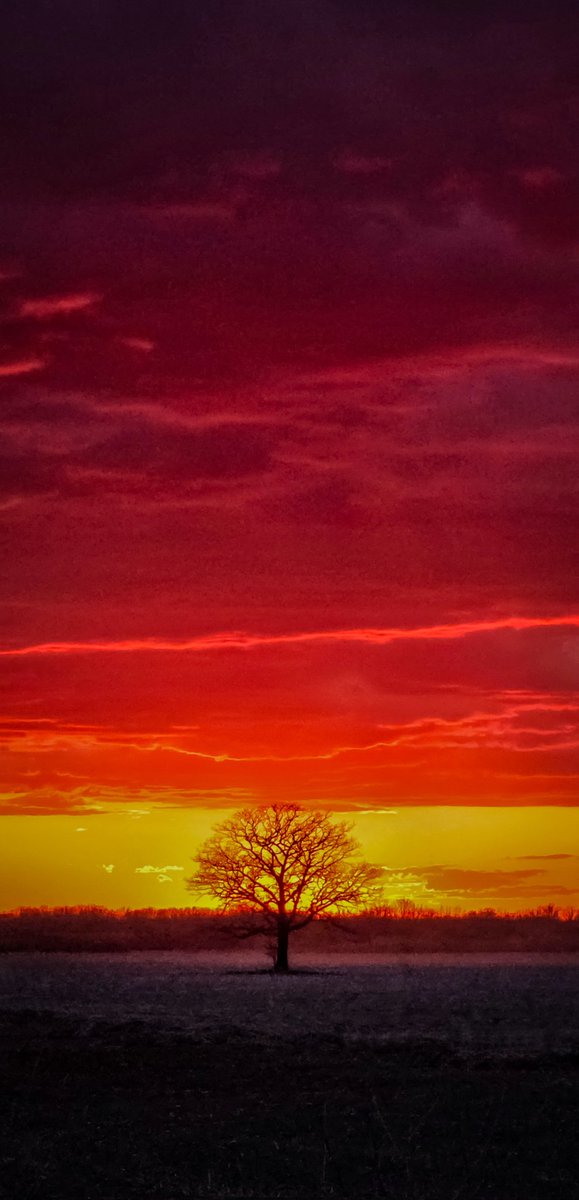 OPEN for full #Manitoba #sunset! Lined up perfectly! 
Hopefully,  we get more colorful green, red, yellows, purples, reds and more over the next few nights! 😍😍😍