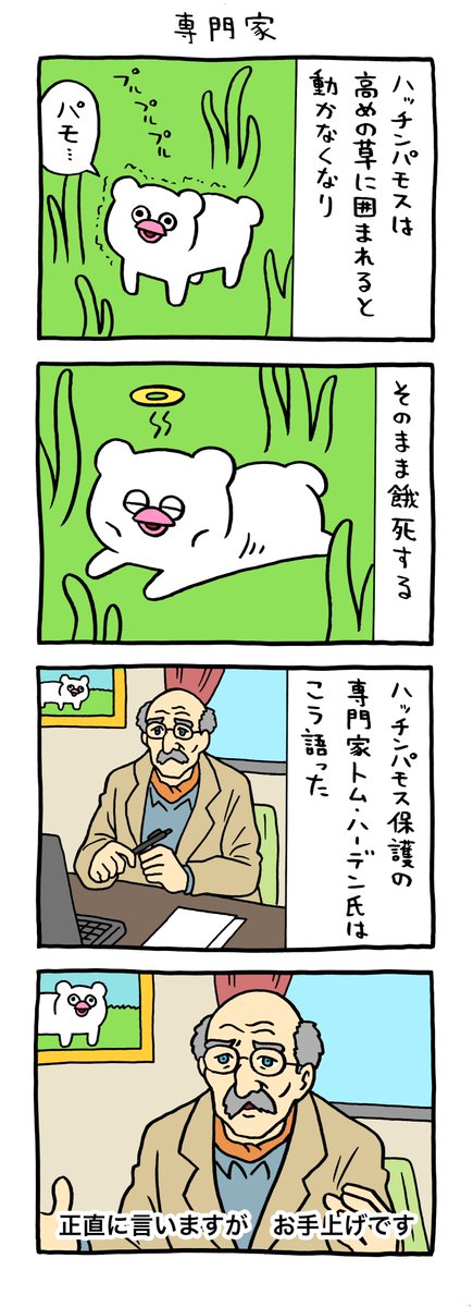絶滅寸前の動物ハッチンパモス「専門家」 qrais.blog.jp/archives/27977…
