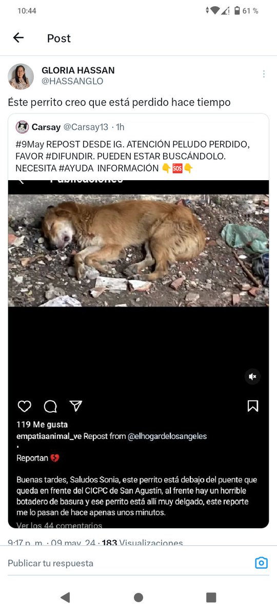 Por favor difundir éste perrito creo que lo buscaban hace tiempo. Ayuda