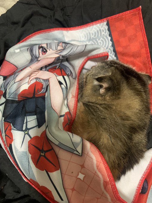 沙花叉クロヱタオル、大変お気に召されたご様子( 'Д` ) 