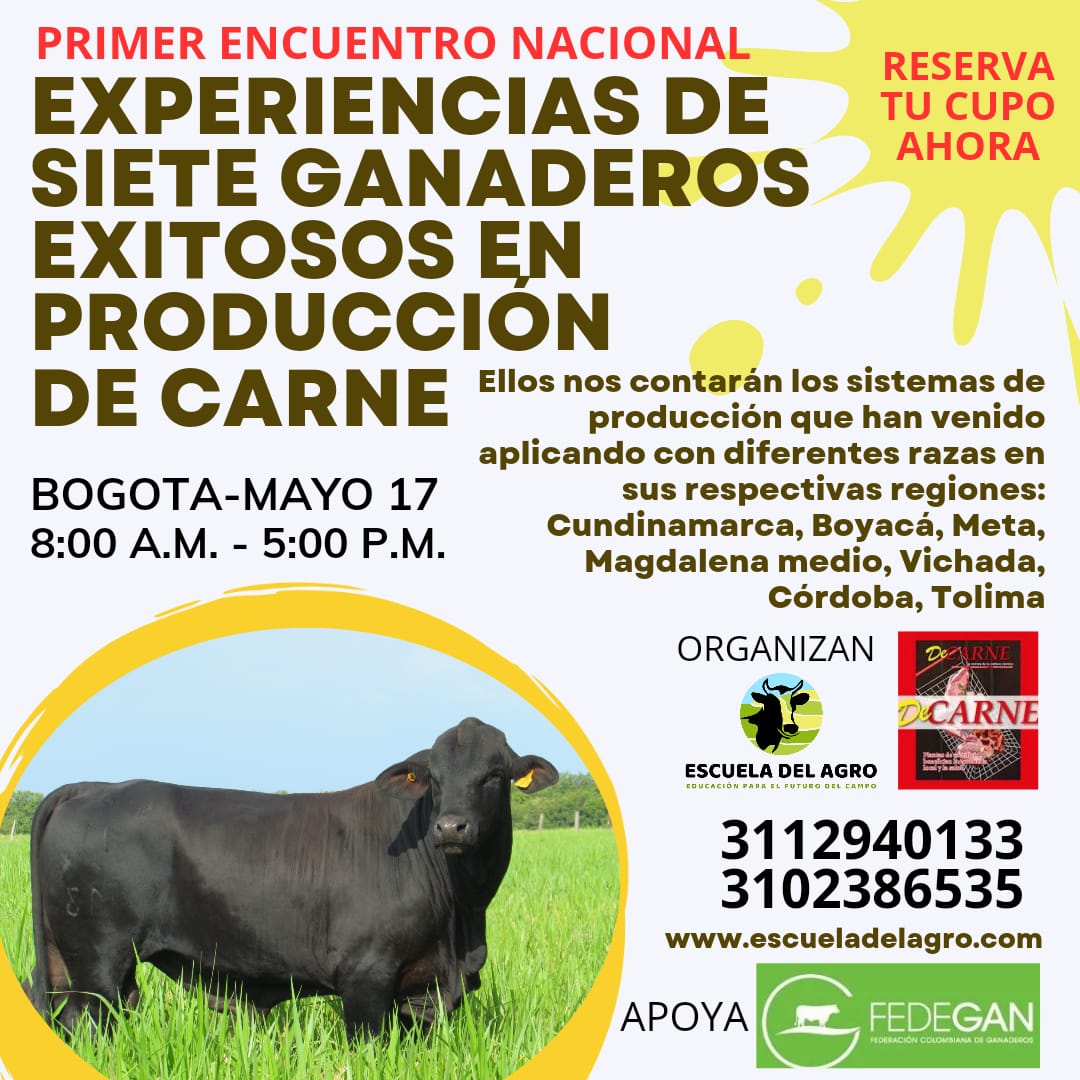 💯 Experiencias exitosas en producción de ganado de carne en #Bogotá 🤠🐂 🗓 Viernes 17 de mayo ☎ 3113940133 - 3102386535 (mayor información) Allá nos veremos, ganaderos, junto a la revista DeCARNE y la Escuela del Agro. #ConstruyendoGanadería