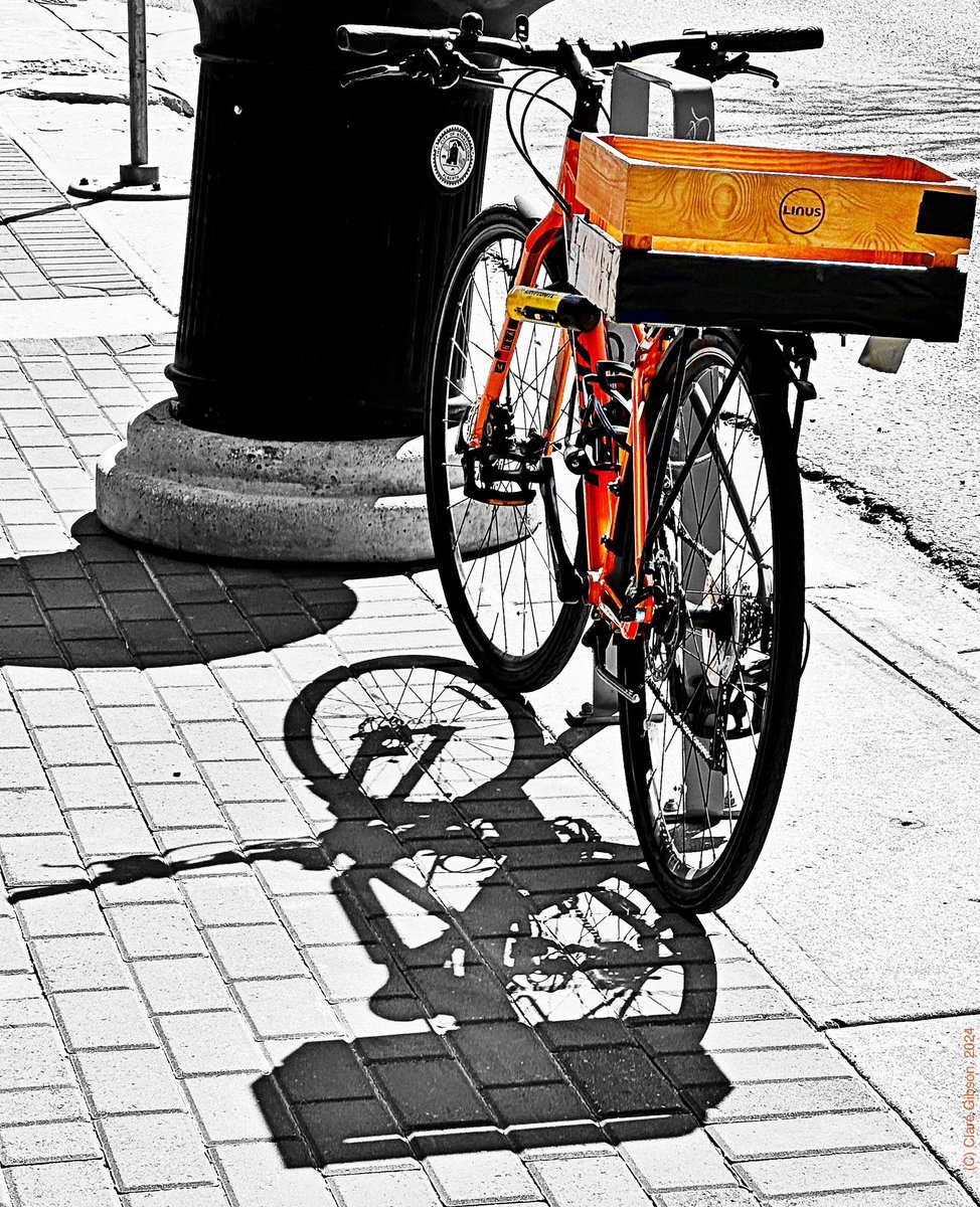 Year 12: day 270: I do love me a good bicycle shadow and a colour splash photo. A twofer!