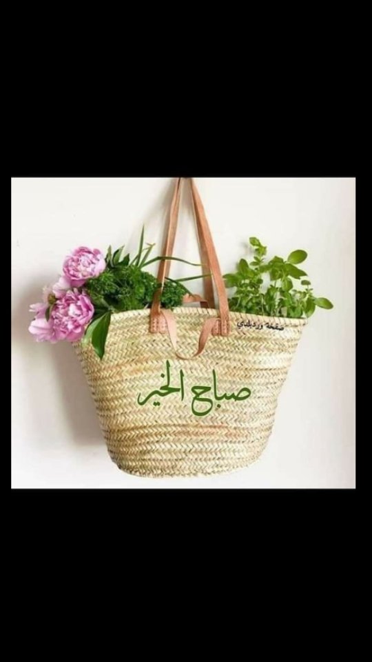 قال الله تعالى: 
﷽:(لا تخف و لا تحزن إنا منجوك) 
اللهم نجنا و أعف عنا و أجعلنا من أولئك الذين تحبهم... و الذين لا خوف عليهم و لا هم يحزنون... اللهم في فجر هذا اليوم.. قدرًا جميلًا و خبرًا جميلًا و دعوة مستجابة... #صلاةالفجر...#قرآن_الفجر... #تقبل___الله__طاعتكم... #آمین__یا__رب