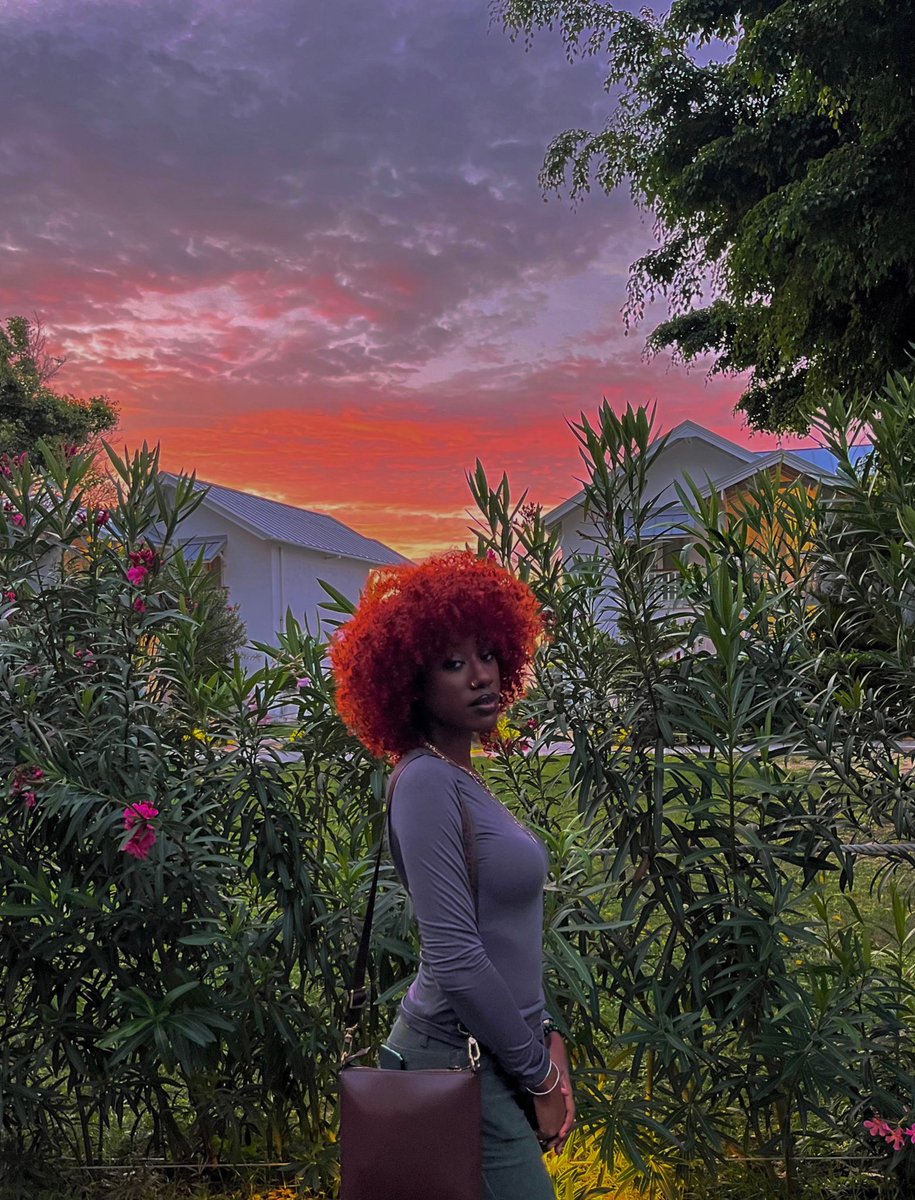 ms. sagittarius tweet media