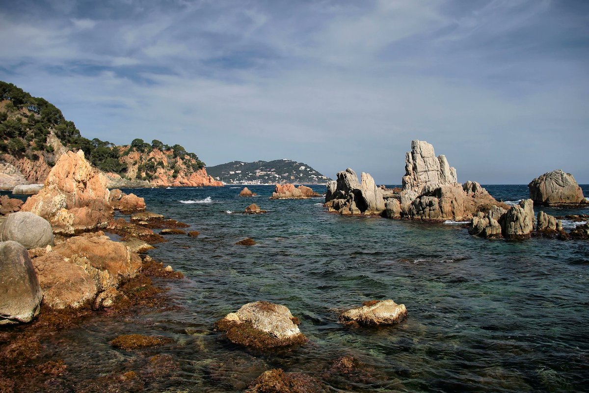 Bon dia amics. Mont-Ras. Baix Empordà. <a href="/juditbarcelona/">Judit</a> <a href="/antonidueso/">Toni</a> <a href="/Lluis_areny/">🅻🅻🆄í🆂 🅰🆁🅴🅽🆈 💙🏴󠁧󠁢󠁥󠁮󠁧󠁿⭑X ﻥ Ç</a> <a href="/ThierryGEORGES/">Thierry Georges</a> <a href="/jordiaragonesm/">Jordi Aragonès</a> <a href="/GambusAssumpta/">Assumpta Gambus</a>  <a href="/pere_garriga/">Pere Garriga Solà</a> <a href="/MonicaLondres/">Mònica🌹🏴</a> <a href="/jtrosique/">jordi torres i rosique</a> <a href="/orriolsderipoll/">Sílvia Orriols</a> <a href="/MnicaRebullCome/">Mònica Encentcinquanta5tada🤕</a> <a href="/Encantaira/">Andere</a> <a href="/maggiecp50/">Margarita Cabello Pla</a> <a href="/Byaabed/">Brahim Yaabed✍️</a> <a href="/profcancun/">rafael ortiz</a> <a href="/pareja_manel/">Manel Pareja</a> <a href="/oriolges/">Oriol Gès</a>