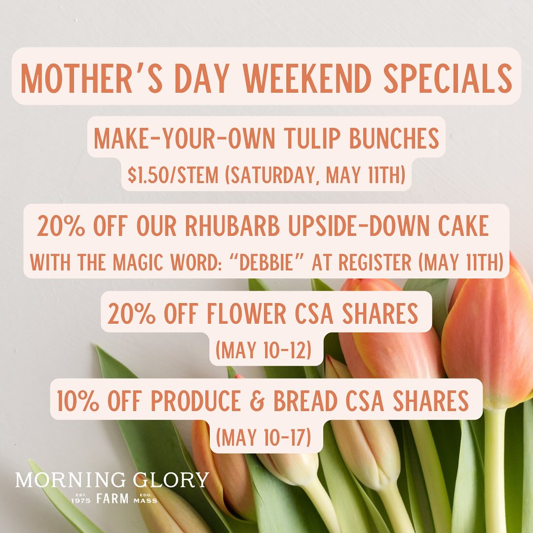 Morning Glory #Farm is offering 10% off their produce & bread #CSA shares (through May 17th) & 20% off flower CSA shares (through May 12th). #Edgartown #bakery 

Stop in tomorrow to make-your-own tulip bunch for $1.50/stem.