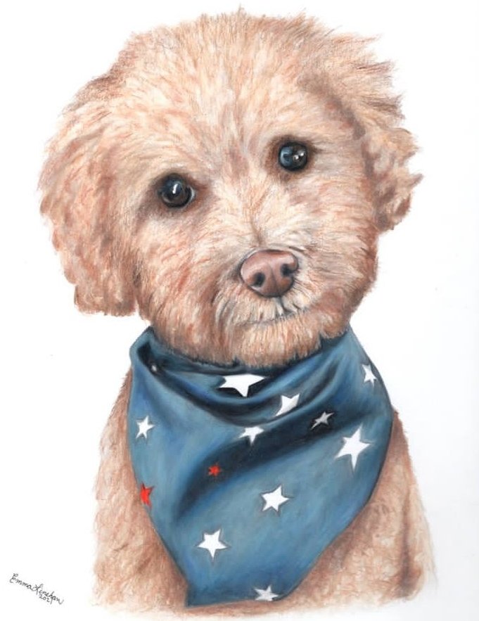 Cute, quizzical look. A commissioned pet portrait from 2021. #dogart #petportraits #dogportraits
