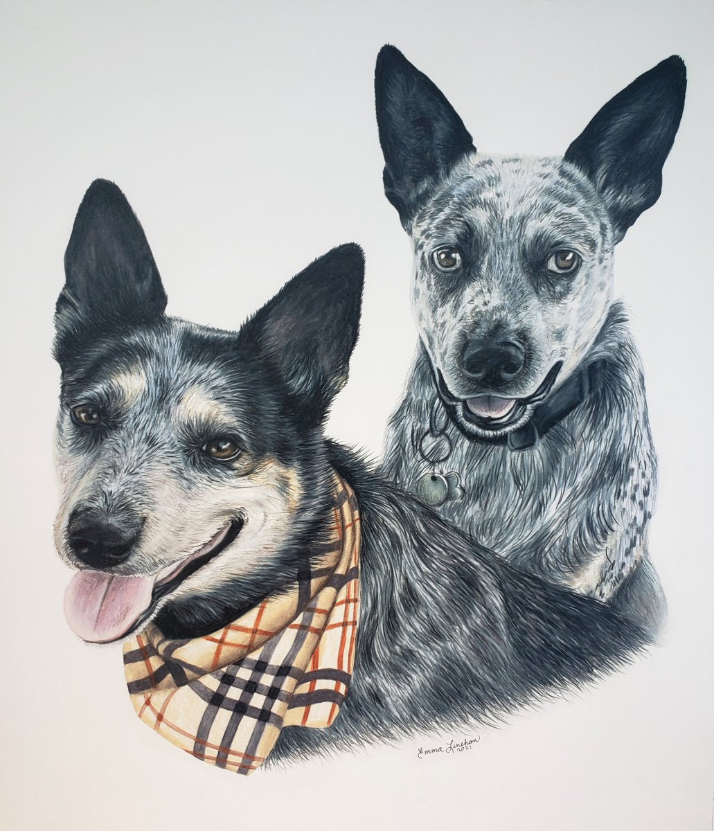 A commissioned tribute portrait of two close friends. 🙏🏻🐾 #petportraits #dogart #dogportraits #dogportraitartist #dogartist